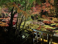 石山寺「あたら夜もみじ」三十八所権現社