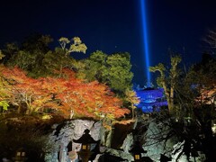 石山寺「あたら夜もみじ」硅灰石と多宝塔