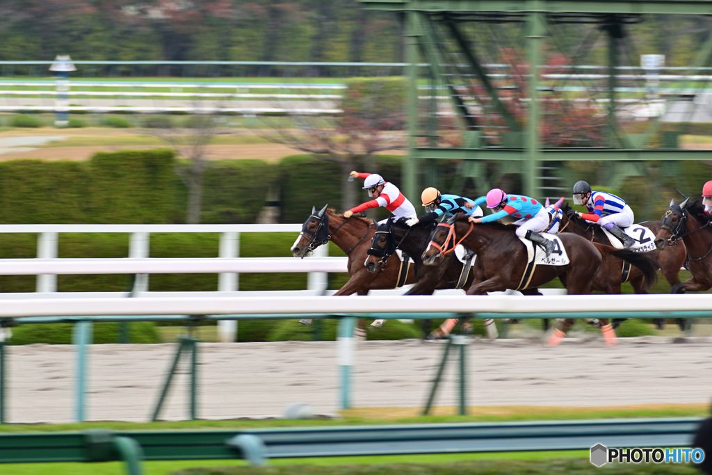 競馬場での流し撮り