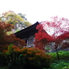 山寺