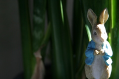 数年前に起こったある出来事なんだけど、、、