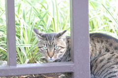 兄貴分のタケシ