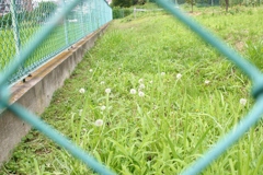 覗かないと見えない世界