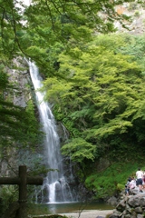 マイナスイオンを求めて