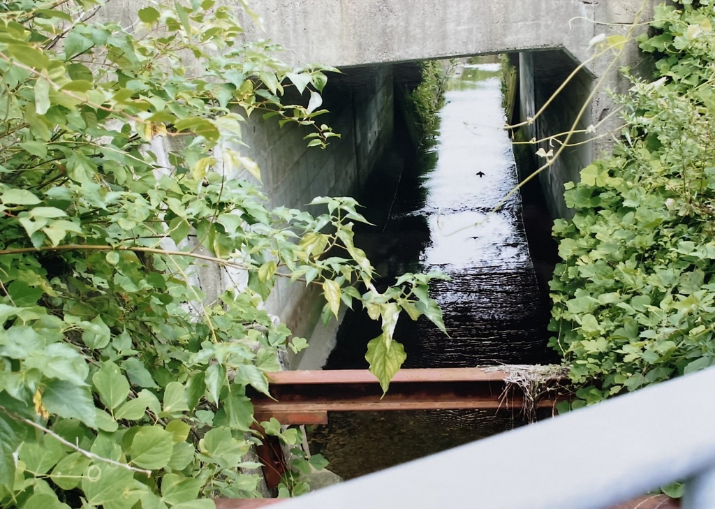 この先に何があるの？