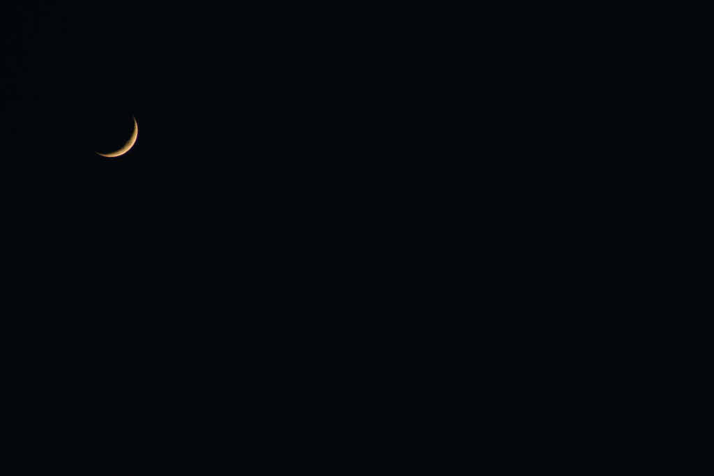 素敵な夜を