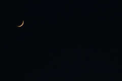 素敵な夜を