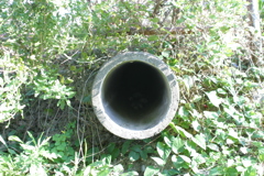 小さきものの秘密基地