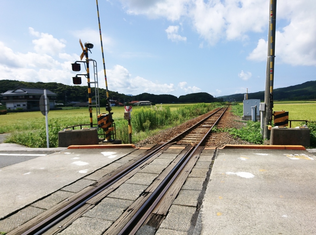 すぐ線路入っちゃう、、、