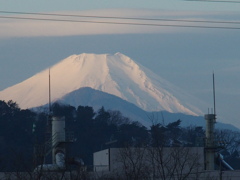 多摩川から見る富士山