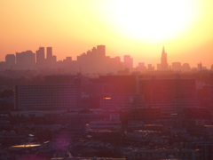 朝