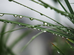 水滴の世界