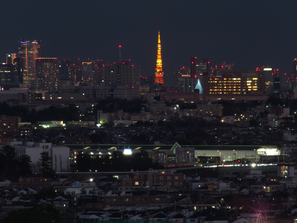 東京タワーのあたり