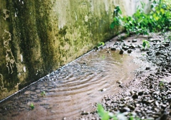 すてき水滴