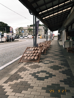 干物達