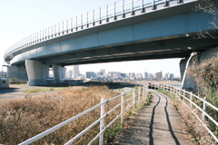 交差