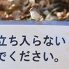 守ろうね！