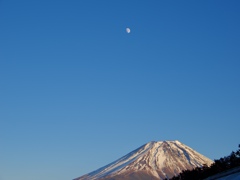 富士と月