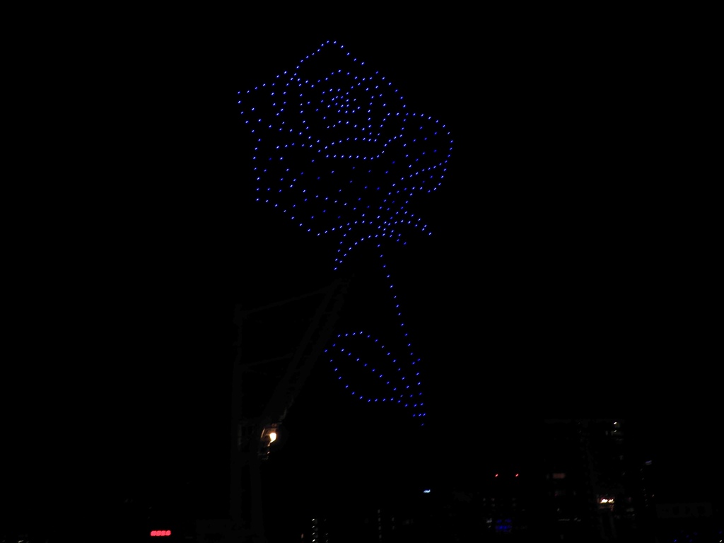 夜空の薔薇