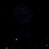 夜空の薔薇