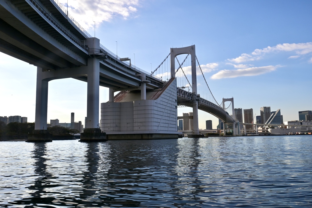 見上げるレインボー