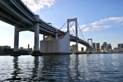 見上げるレインボー