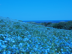 海と海