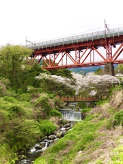 白糸川橋梁と桜