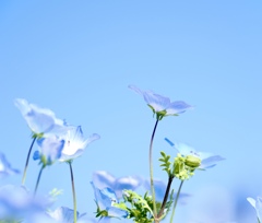 空へ向かって
