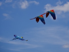 大空をとぶ