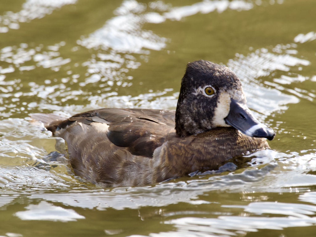 また会えたね！