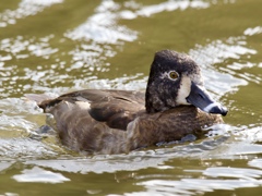 また会えたね！