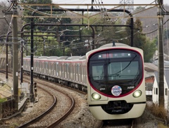 サカバンバスピス