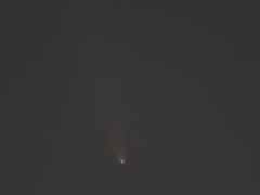 紫金山・アトラス彗星