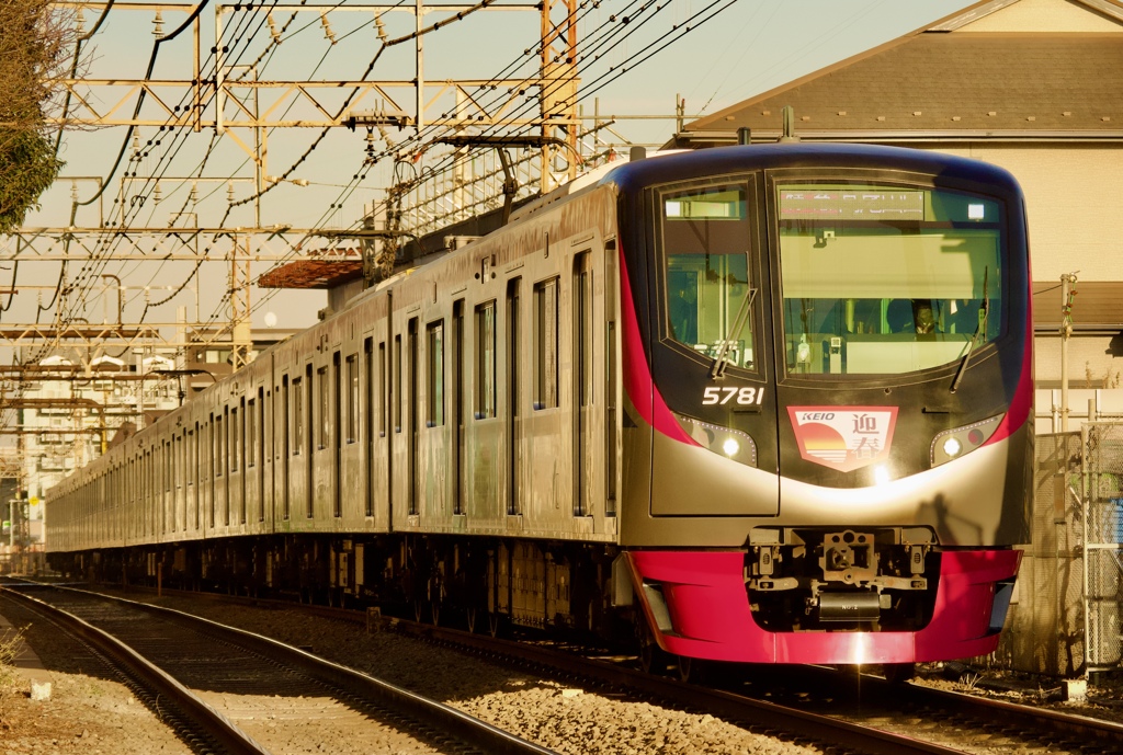 迎春電車