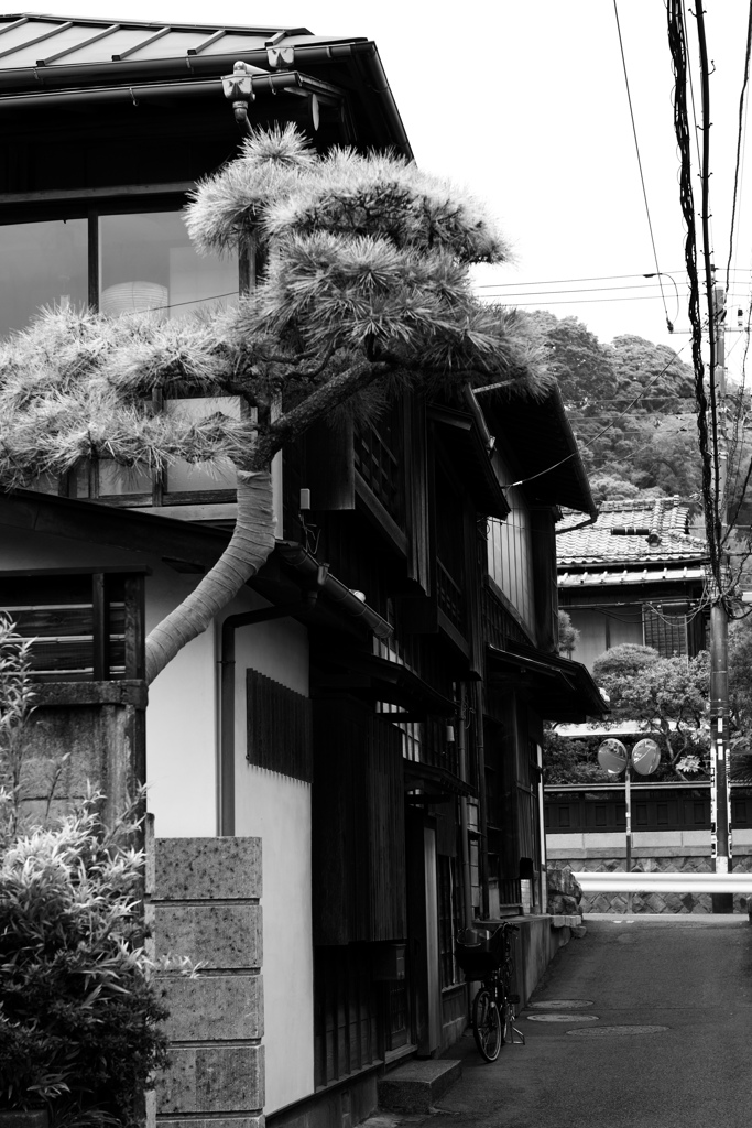 古都の古民家