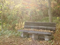 黄昏時のベンチ