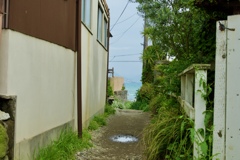 海の見える路地裏