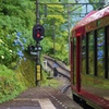 箱根登山鉄道と紫陽花