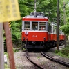 新緑を走る