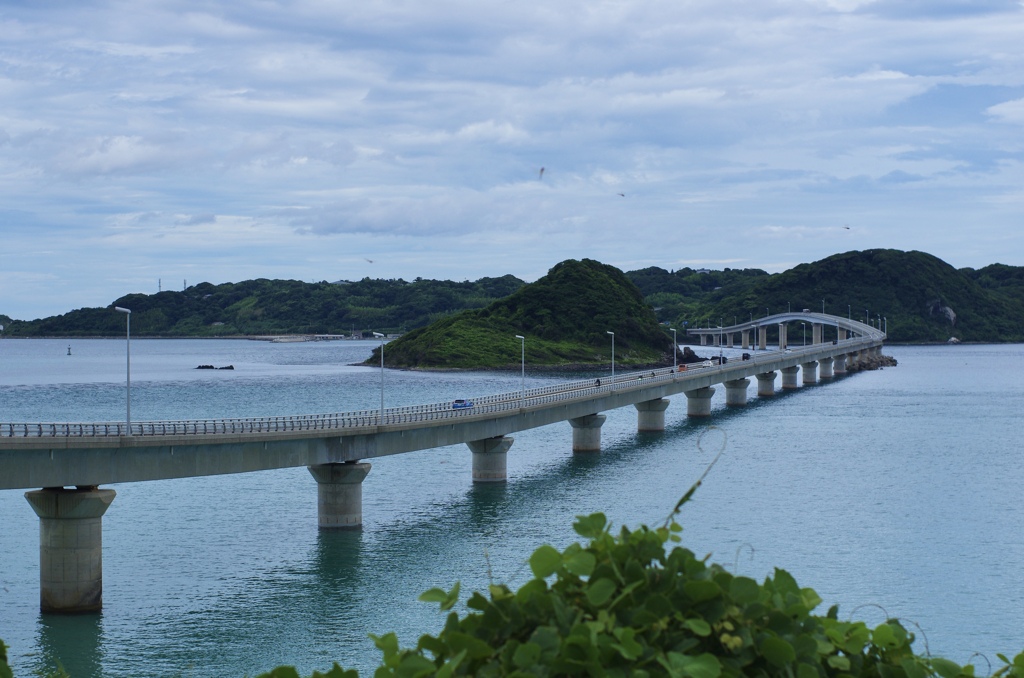 角島大橋　5