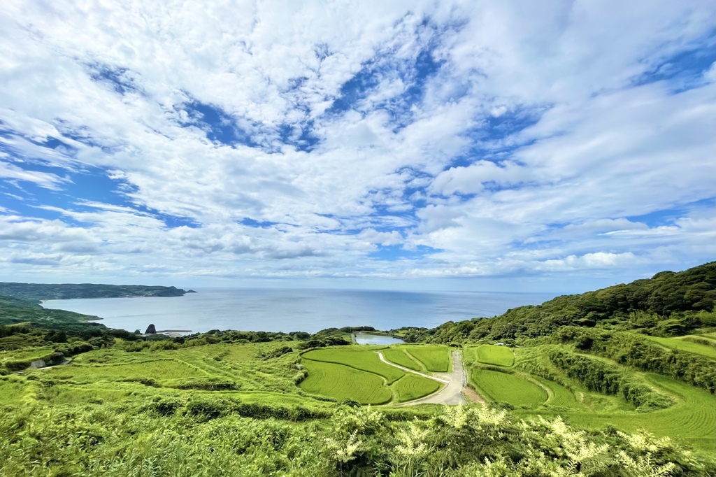 「東後畑棚田」ひがしうしろばたたなだ 2