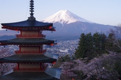 忠霊塔からの春の富士山
