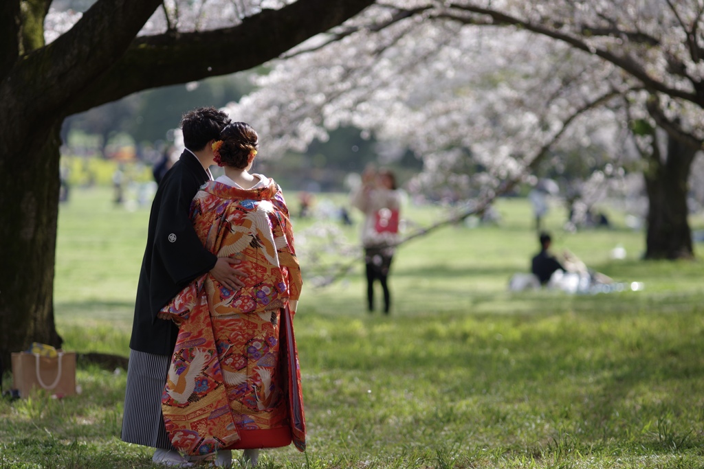 桜の木の下で…