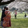桜の木の下で…