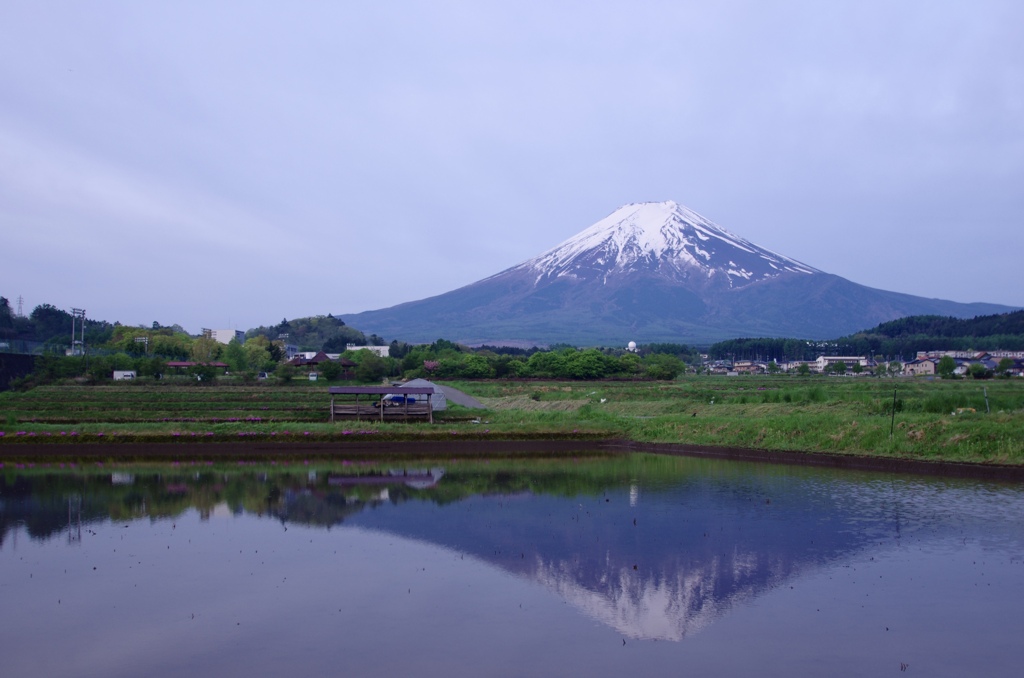 田んぼの逆さ富士