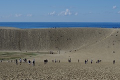 あの砂壁の向こうには日本海…