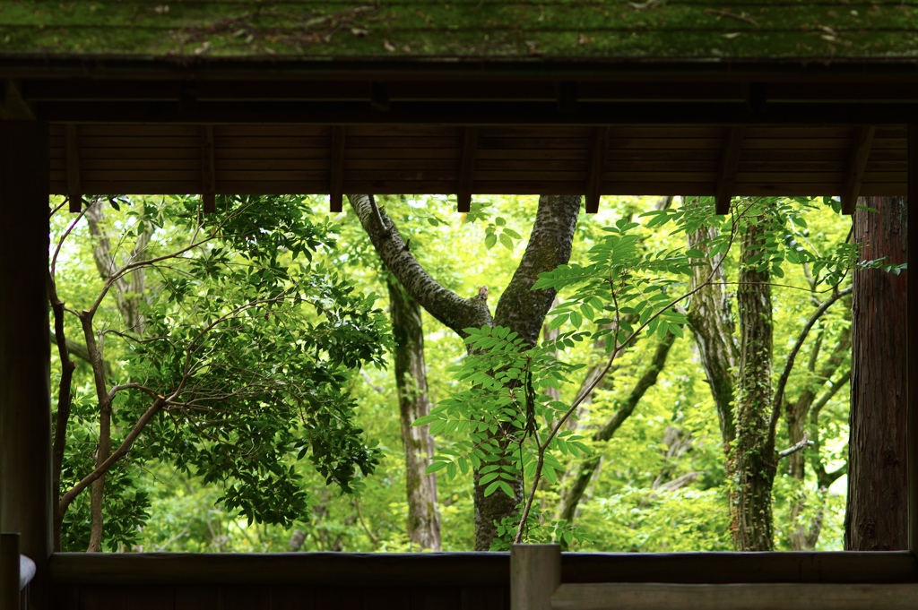 額縁　- 東屋の向こうの景色-
