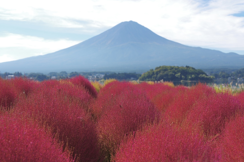 秋の風景