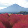 秋の風景